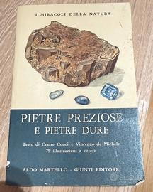 Libro vintage Pietre preziosi e pietre dure