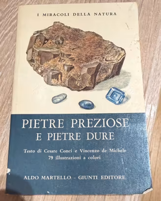 Libro vintage Pietre preziosi e pietre dure