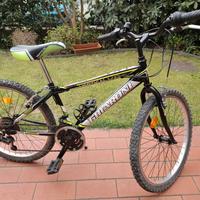 bicicletta da ragazzo 24 pollici
