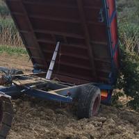 Rimorchio agricolo angelici