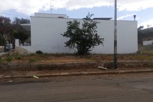 Terreno edificabile Lido Conchiglie (LE) Salento