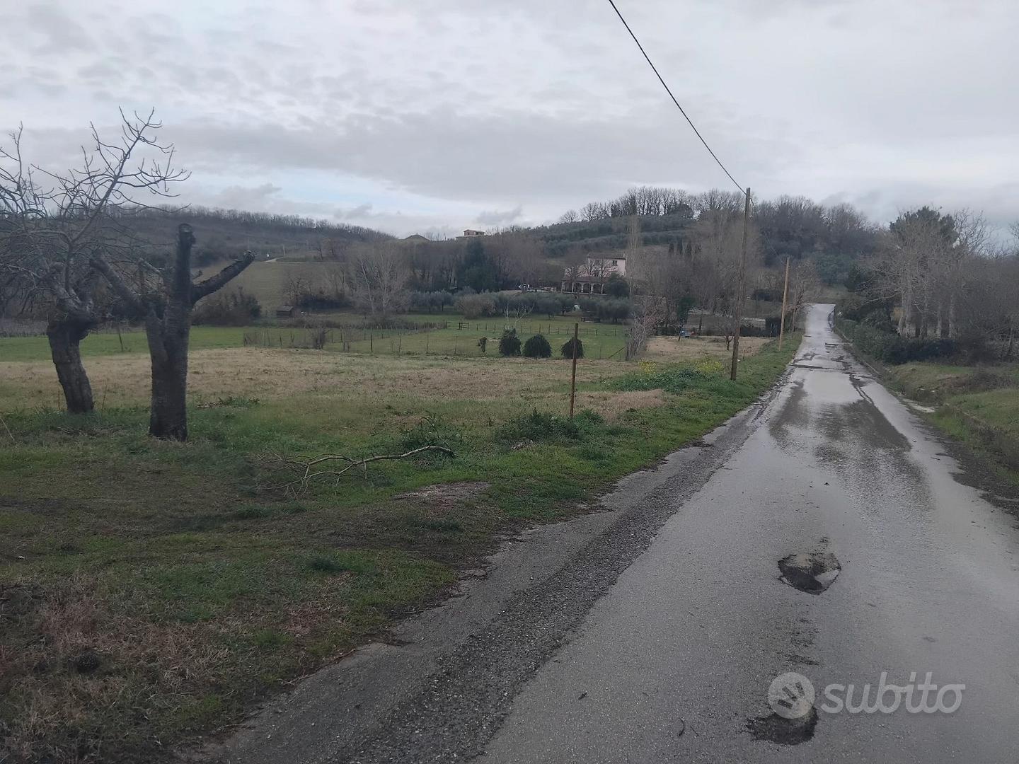 Due appezzamenti di terreno - Vista 2