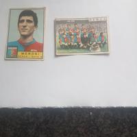 Figurine Panini anno 63/64 Squadra Genoa e Meroni