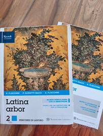 Latina arbor 2