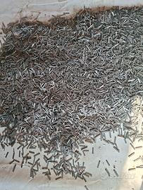 Caratteri da stampa in piombo