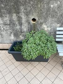 Vaso Artevasi Venezia 100cm