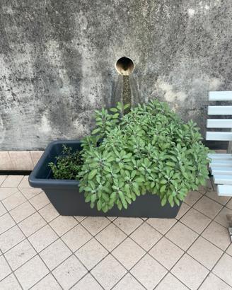 Vaso Artevasi Venezia 100cm