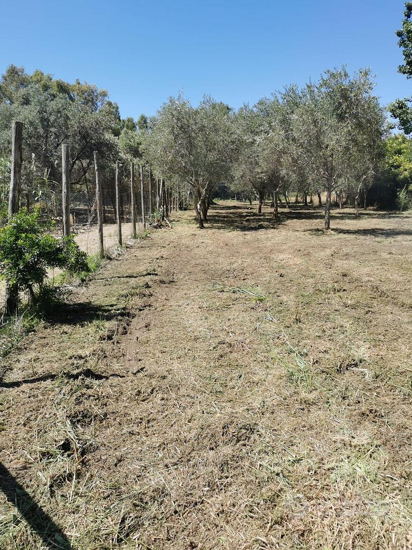 A pochi passi dal mare - Vista 4