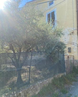 Appartamento/villa in montagna