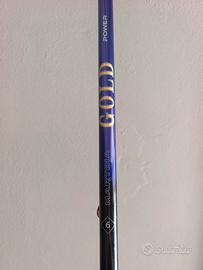 bolognese Martina Gold purple 