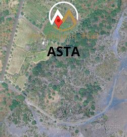 Terreno 40.000Mq (Belpasso)