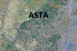 Terreno 40.000Mq (Belpasso)