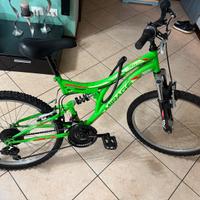 Bicicletta 9/12 anni