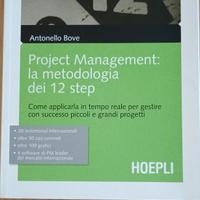 libro Project management