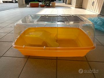 Acquario per tartarughe