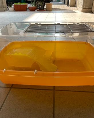 Acquario per tartarughe