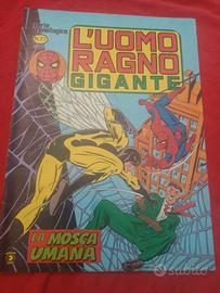 Uomo ragno corno gigante 77