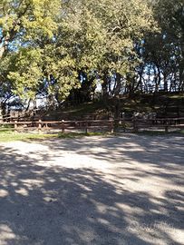 Terreno con casa alla portata di tutti a Messina