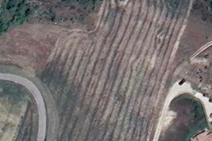 Terreno agricolo e boschivo 20 ettari umbria colli