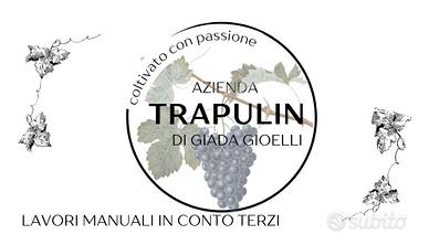 2 operai agricoli manuali in conto terzi