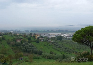 Terreno Agricolo Panoramico 6.000mq