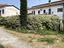 Immagine 9