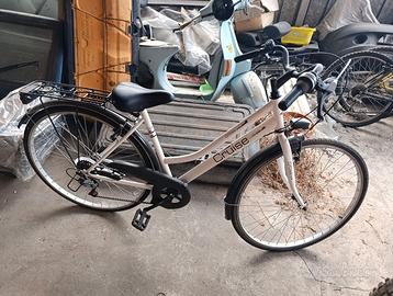 Bicicletta da donna Denver Cruise