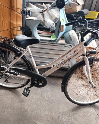 Bicicletta da donna Denver Cruise