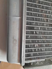 radiatore malossi piaggio