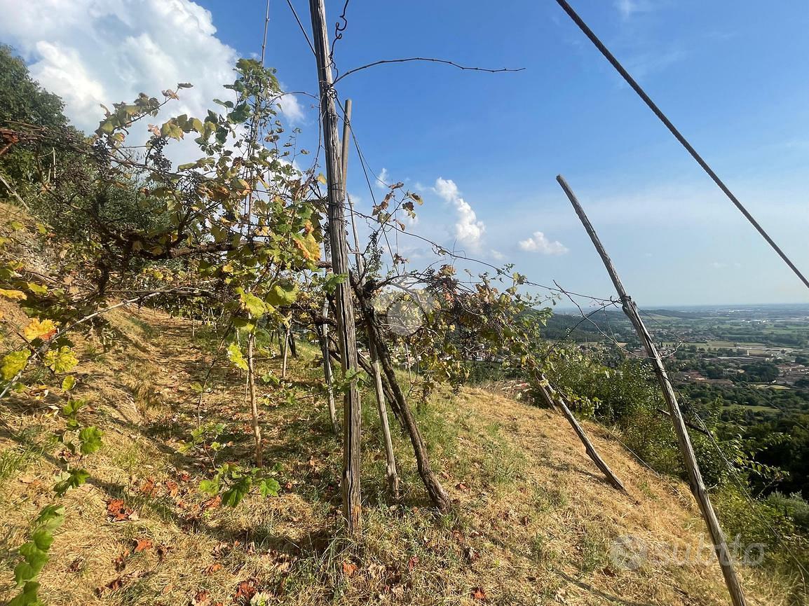 TER. AGRICOLO A CELLATICA - Vista 5