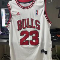 NBA Swingman Jersey Chicago Bulls-Michel Jordan 23