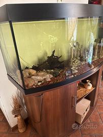 Acquario della Juwel da 450lt
