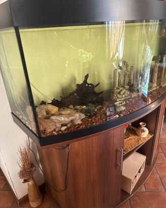 Acquario della Juwel da 450lt