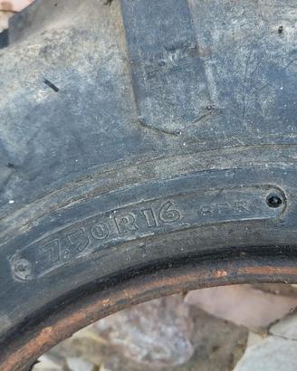 Gomme trattore Pasquali o simili