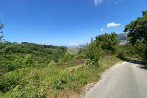 TER. AGRICOLO A GIUNGANO