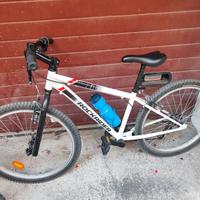 Biciclette bambino 24 e 26