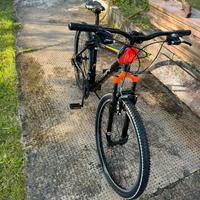 Nsr tecnobike