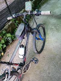 bicicletta da bambino 