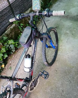 bicicletta da bambino 