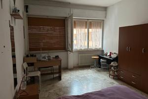 Si affitta singola solo a ragazza
