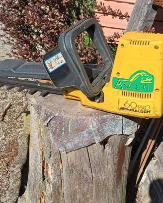 tagliasiepi elettrico