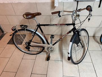 Bici da passeggio