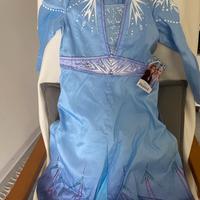 Carnevale travestimento Elsa Frozen