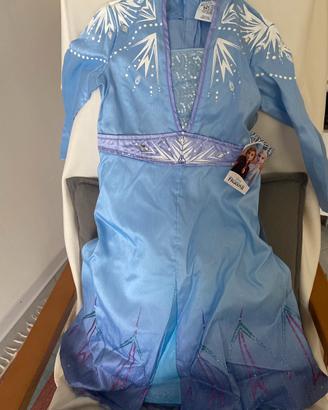 Carnevale travestimento Elsa Frozen