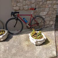 1 bici a 100 euro  ed una a 50 euro