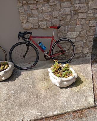 1 bici a 100 euro  ed una a 50 euro