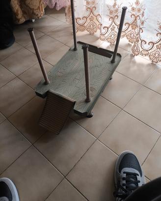 pedana tartaruga di acqua 