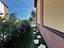 Immagine 8