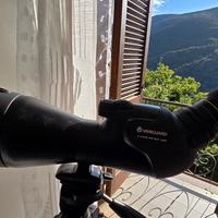 cannocchiale vanguard endeavur HD 82A
