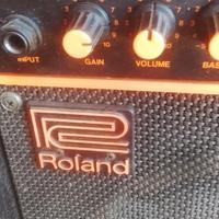 amplificatore Roland DAC-15B